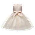 thumbnail image 4 of BYHONG Robes pour Filles Robe Sans Manches en Chiffon à Sequins Robe de Performance Robe de Princesse Jupe Beige Tenue de Jeu Extérieur 4-5 Ans, 4 of 4
