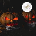 thumbnail image 4 of MasteelfCA 3 Meter 30LED Halloween Spider Light String Decorative LED Luminous Spider Light, 4 of 7