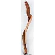 Case of 50 Branches - 10 Inch Ghostwood Logs and Sticks - Sandblasted for Wedding, Floral Arrangement, Home and Holiday Décor