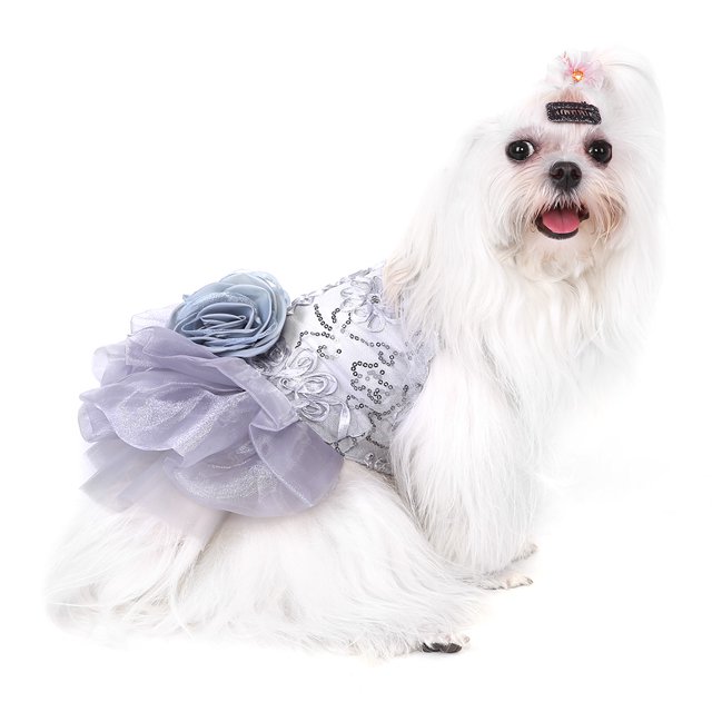Vestidos Para Perros Pequeños Y Niñas, Vestido Para Perros, Tutú Para Cachorros, Falda De Princesa Con Lentejuelas, Vestidos Para Mascotas, Trajes Para Bodas, Toma De