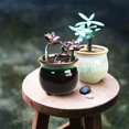 thumbnail image 3 of HUGFEGWE -6 piecesCeramic Succulent Plant Pot, Rustic Style Cute Little Pots for Plants,Perfect for Home Office Decor and Ideal Gift for Family Friends Colleague, AZ824-18480, 3 of 7