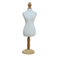 thumbnail image 1 of Miangastore Mannequin de Forme pour Animal de Compagnie Support de Modèle Présentoir de Vêtements Support Présentoir, 1 of 9