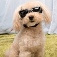 thumbnail image 3 of Stylish Windproof Goggles For Small Breed Puppies Outdoor Adventure Protective Eyewear With -Fog Design And Secure Adjustable Straps For Dogs, 3 of 3