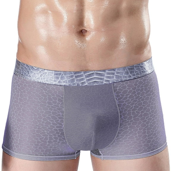 Sngxgn Breathable Men's Underwear Comfortsoft Boxer Briefs(Grey,L)