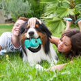 thumbnail image 2 of Juguete masticable para perros Tonep para masticadores agresivos con chirriador, 2 of 7