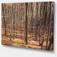 thumbnail image 2 of Forêt de Carpates Épaisse - Impression sur Toile, 2 of 4