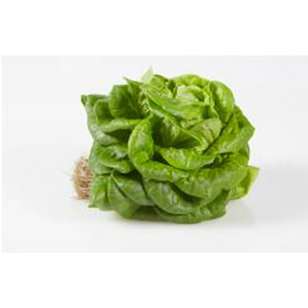 Bibb Lettuce, 1 Each