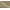 Tan/Ivory, variant on Garland Rug Grand Floral Black/Ivory Indoor Accent Rug, 30" x 46"