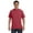 Chili, variant on Comfort Colors Adult Heavyweight T-Shirt VINEYARD 4XL