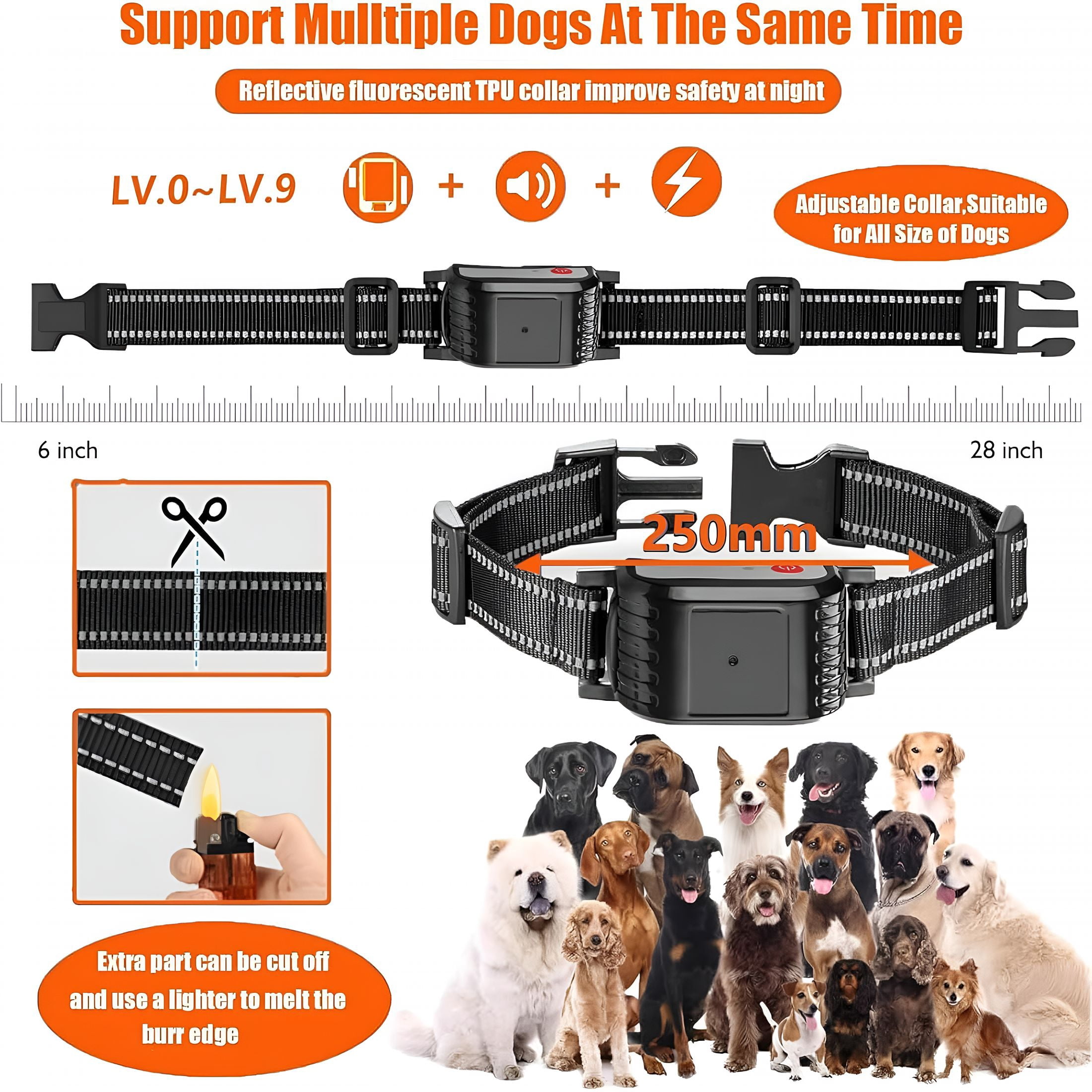 BESTSKY Wireless Dog Fence Dog Training Collar 2 in 1, Electric Pet Boundary Containment with Remote, Waterproof Receiver, Vibrate/Shock, Safe Effective, Stubborn Dog Fence System for Yard
