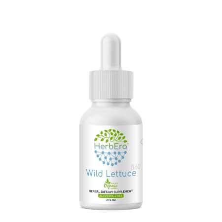 Wild Lettuce Alcohol-FREE Herbal Extract Tincture, Super-Concentrated Organic Wild Lettuce (Lactuca virosa) Dried