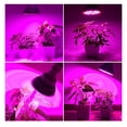 thumbnail image 2 of Lámpara de cultivo, luz de cultivo de espectro completo, hogar E27 para jardinería de invernadero en interiores,Bombilla para cultivo de plantas, Luz para cultivo de plantas, Lámpara para cultivo de p Higoodz Cocina, Decoración y Otros, 2 of 8