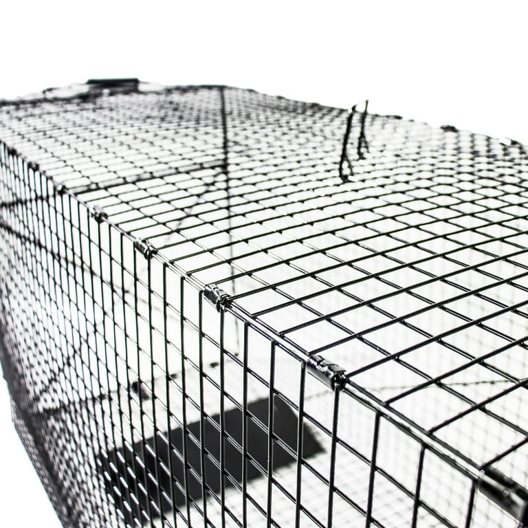Humane Way Folding 50 Inch Live Humane Animal Trap - Safe Traps for All  Animals - Dogs, Raccoons, Cats, Groundhogs, Opossums, Coyote, Bobcat 