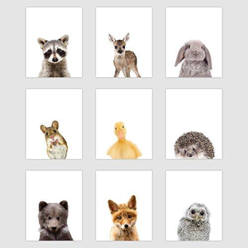 Palace Learning Set of 9 Woodland Animal Poster Prints - Cute Baby Forest  Animal Wall Art - Nursery Room DÃ©cor | Walmart Canada