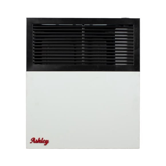 WALL HEATER NG/PRPN 11K(Pack of 1)