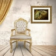 thumbnail image 3 of LaMontagne, Patrick 14x12 Gold Ornate Wood Framed with Double Matting Museum Art Print Titled - Iguana, 3 of 4