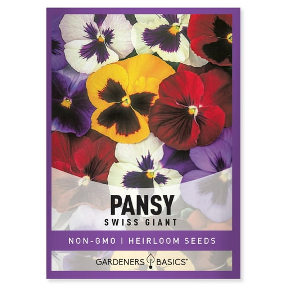 Pansy Swiss Giants Mix Seeds