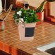 thumbnail image 4 of IFANLANDOR Maceta Metálica Rosa Estilo Retro Para Plantas Ideal Para Jardín Y Hogar, 4 of 8