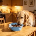 thumbnail image 2 of Collapsible Dog Bowl Silicone, 2 Pack Pet Travel Bowls | Foldable Water Feeder Dish for Small to Large Dogs Cat Walking Hiking Camping, Portable Dog Bowl, 2 of 6