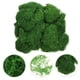 thumbnail image 5 of 1 juego de plantas en maceta, decoraciones de musgo, adornos de musgo artificial, musgo falso DIY, adornos decorativos de musgo, 5 of 8