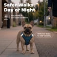 thumbnail image 4 of Voyager Step-In Air Mesh Dog Harness by Best Pet Supplies, 4 of 8