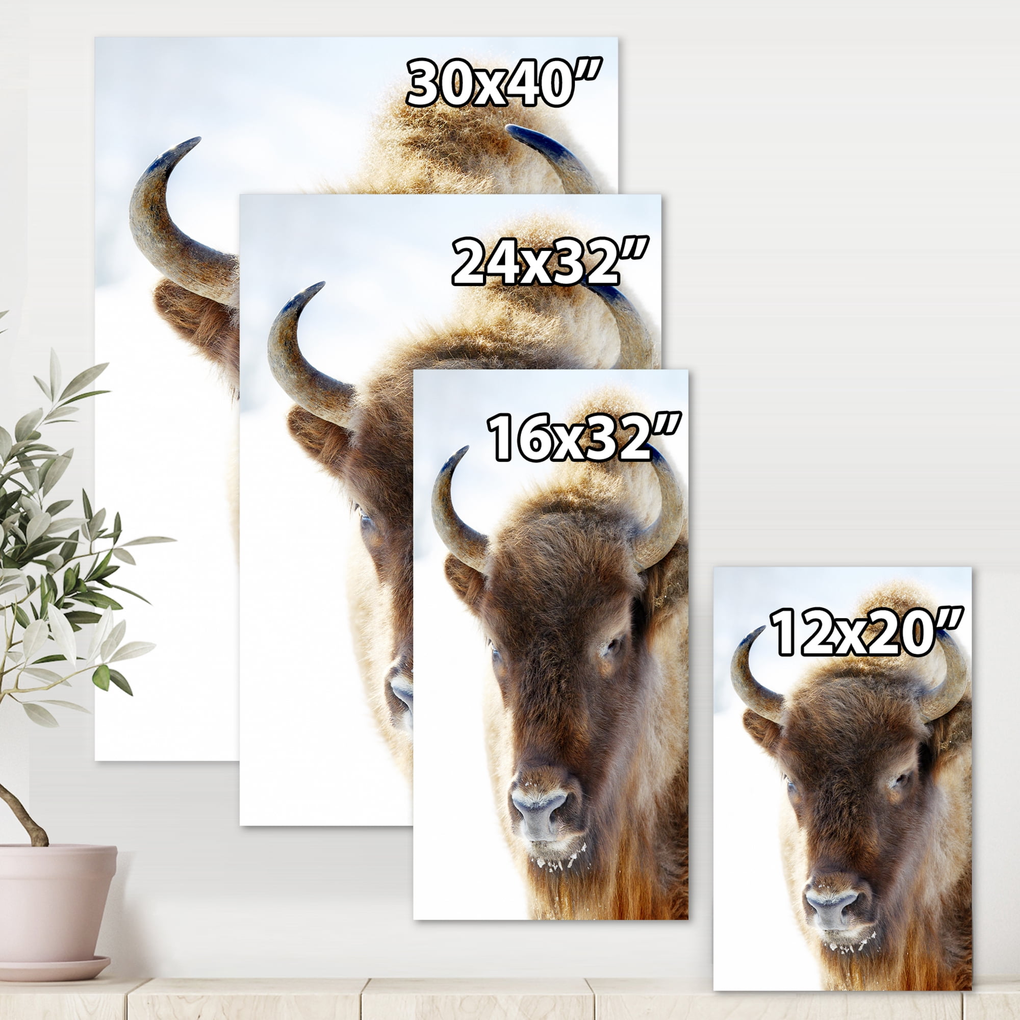 Designart ' Close UP Of Wild Bison ' Farmhouse Canvas Wall Art Print