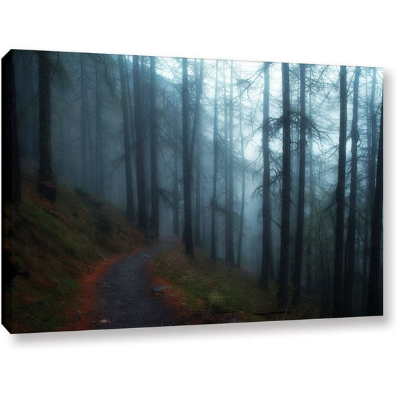 ArtWall John Black "Woods" Gallery-Wrapped Canvas
