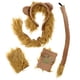 thumbnail image 2 of Kids Costume Animal Costume Adult Lion Costume Toddler Lion Cosplay Set Toddler Lion Costume Baby Lion Costume, 2 of 4
