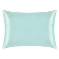 Ntbay 1 Pack 100% Mulberry Silk Queen Pillowcase with Hidden Zipper, Luxurious Both Side 19 Momme Pillow Case, 20" x 30", Aqua Blue