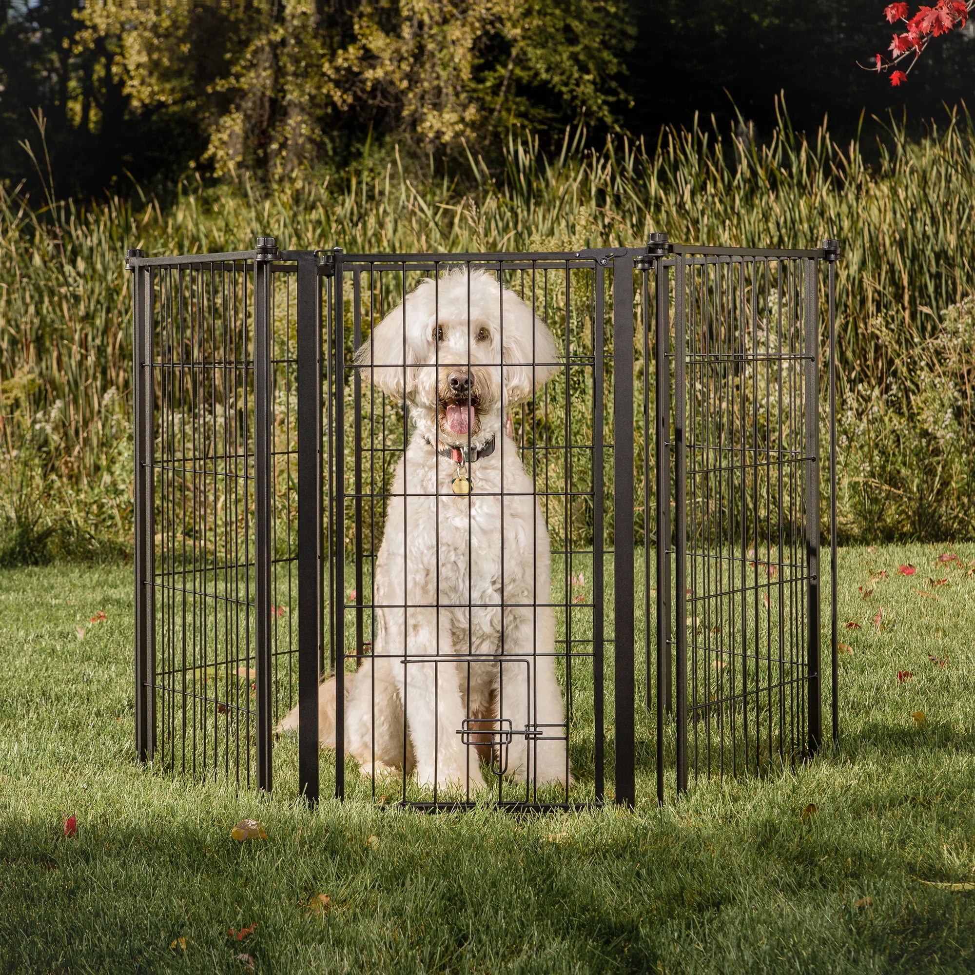 Carlson Extra Tall Heavy-Duty Pet Gate and Pen, 36-inch x 144-inch, Weather-Resistant, Walk Through Door, Black