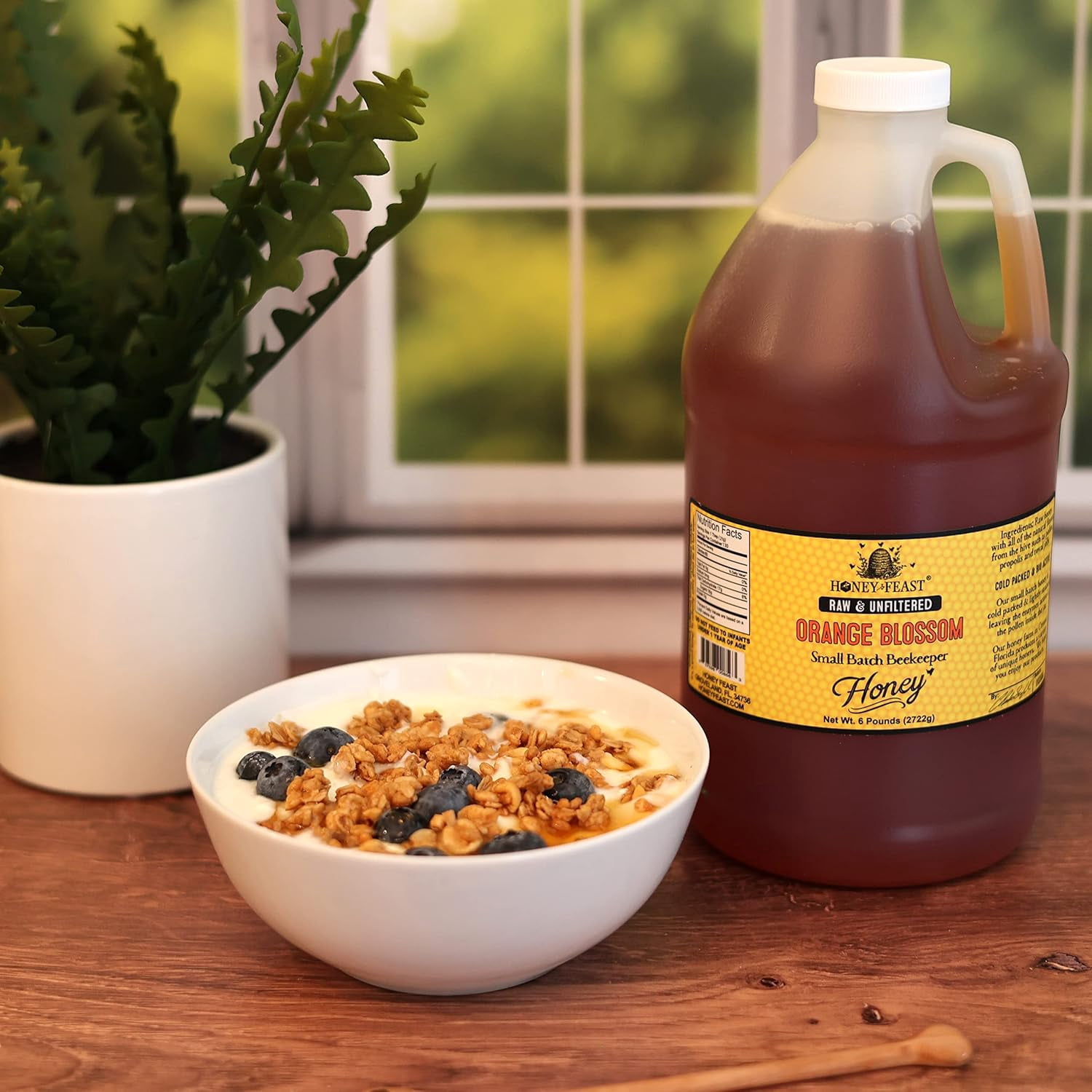 HONEY FEAST 6 Pounds Raw Orange Blossom Honey - All Natural, Unfiltered, Unheated, From Oranges, Perfect for Sweetening & Baking