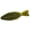 GREEN PUMPKIN, variant on Deps Bullflat - 3.8" - 6 Pack