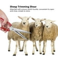 thumbnail image 3 of Sheep Shear, Multifunctional Manual Stainless Steel Sheep Wool Shear Trimming Scissor With Spring, 3 of 8