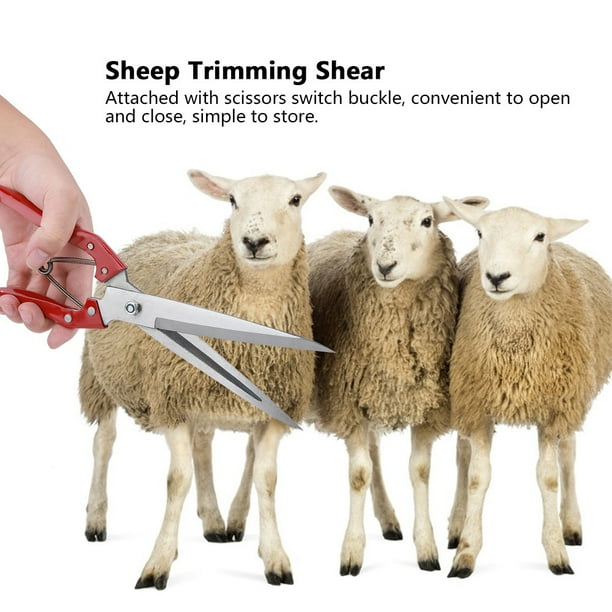 Blade Sheep Shear Sheep Shear, Sheep Clipper, Winter Sheep