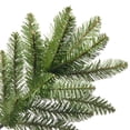 thumbnail image 4 of National Tree 4 Foot Kingswood Fir Pencil Tree (KW7-500-40), Green, 4 of 6