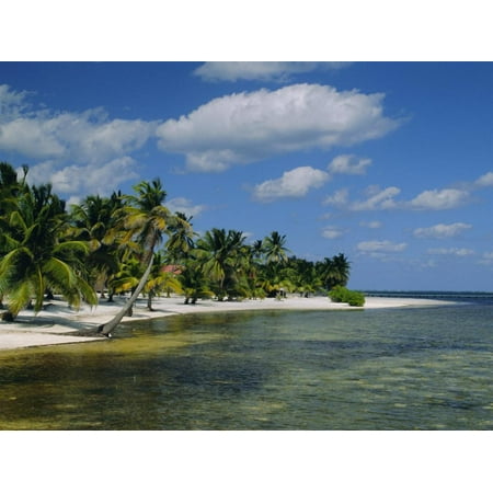 Main Dive Site in Belize, Ambergris Caye, Belize, Central America Print Wall Art By Gavin