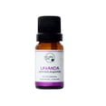 thumbnail image 1 of Aceite Esencial de Lavanda, 1 of 1