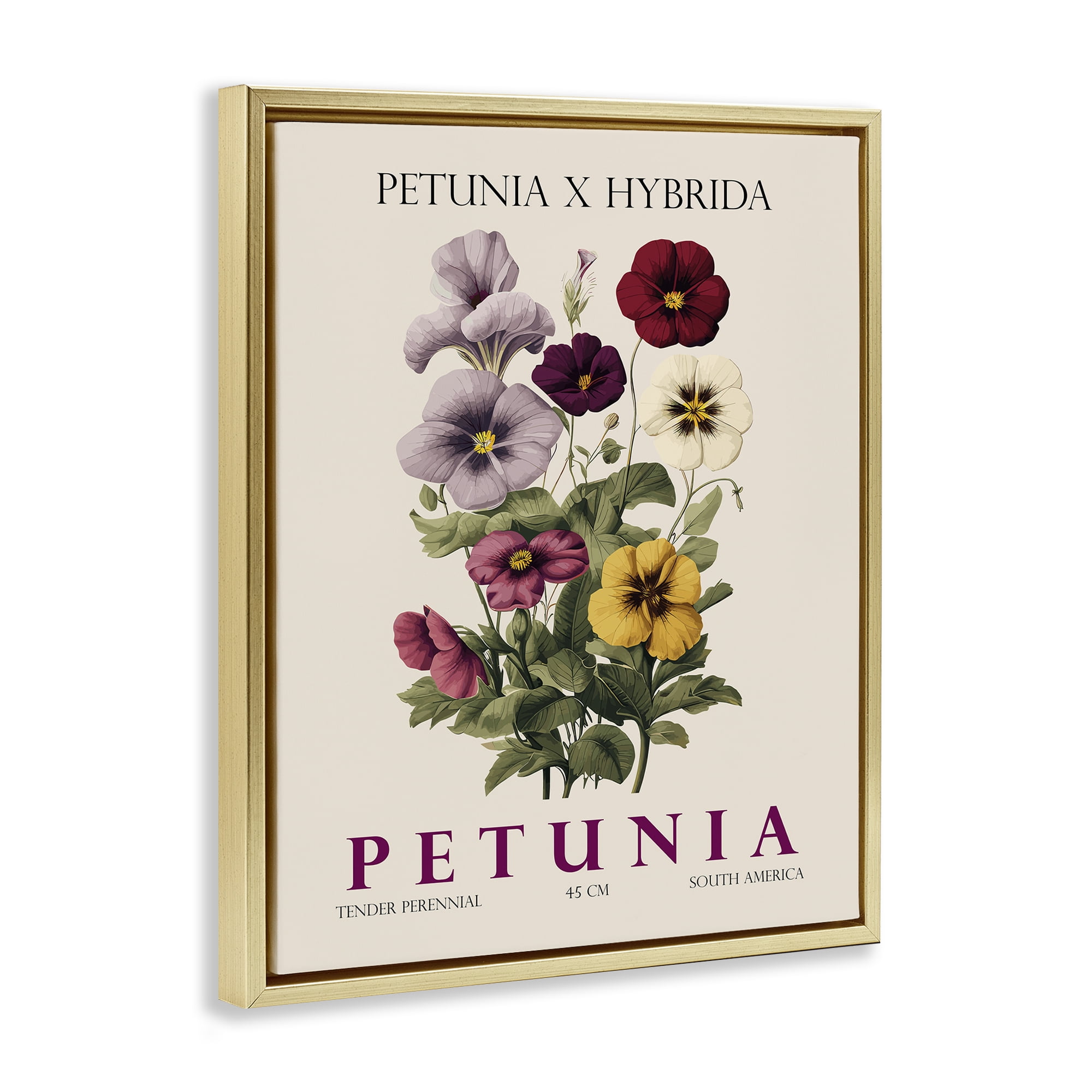 Stupell Industries Natural Petunia Bundle Gold Framed Floater Canvas Wall Art, design by Christopher Giampietro