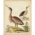 thumbnail image 3 of Edwards, George 12x14 Black Modern Framed Museum Art Print Titled - Antique Bird Menagerie III, 3 of 5