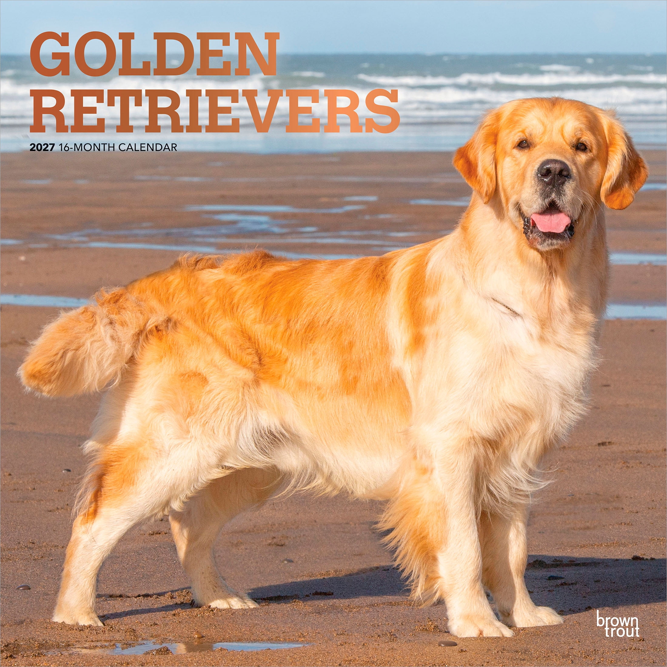Golden Retrievers 2027 Square