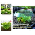 thumbnail image 1 of 3Pcs Plant Cover Transparent Protective Plastic Vegetable Plants Fruit Cover Garden Tool, 1 of 8