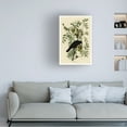 thumbnail image 2 of Trademark Fine Art "American Crow" Canvas Art by John James Audubon, 2 of 5