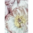 thumbnail image 2 of Poinski, Dianne 11x14 Gold Ornate Wood Framed with Double Matting Museum Art Print Titled - Dusty Bloom 3, 2 of 4