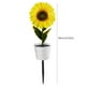 thumbnail image 3 of Girasol Solar Ground Light Interruptor automático LED Path Yard Lights para patio Ndcxsfigh Para estrenar, 3 of 9