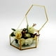 thumbnail image 5 of Modern Tabletop Glass Geometric Terrarium Container Window Pot Box, Macarena Jardinera de Terrario Geométrica, 5 of 8