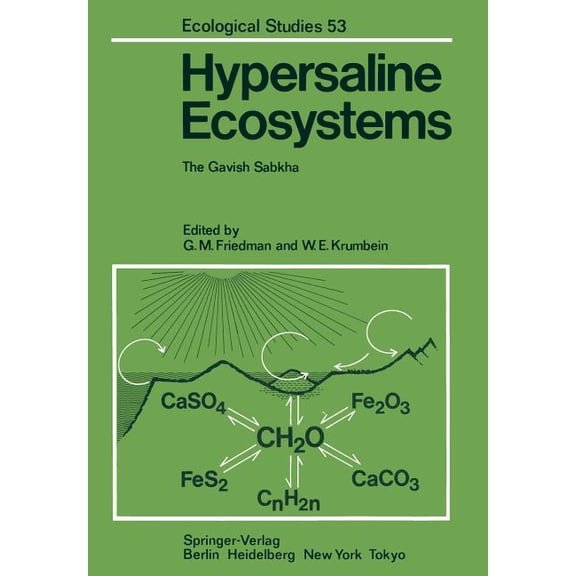 Ecological Studies Hypersaline Ecosystems: The Gavish Sabkha, Book 53, (Paperback)