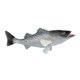 thumbnail image 1 of Simulation Weever Model Children Plaything Fish Figure Marine Animal Model, 1 of 4