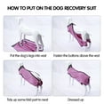 thumbnail image 5 of Dotoner Dog Recovery Suit Abdominal Wound Puppy Surgical Clothes Post-Operative Vest Pet After Surgery Wear Substitute E-Collar & Cone(XL,Pink), 5 of 7