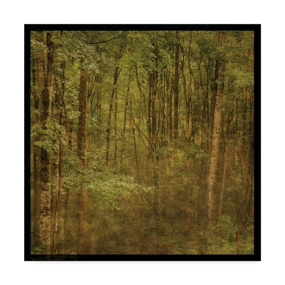 Trademark Fine Art 'Forest Trees' Canvas Art by John W. Golden