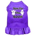 thumbnail image 1 of Here For The Boos Screen Print Dog Dress Purple Sm (10), 1 of 1